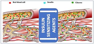 Space Flight-Promoted Insulin Resistance as a Possible Disruptor of Wound Healing